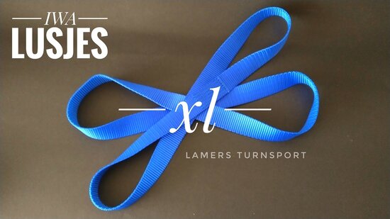 Ons advies is om polsbandjes of handschoentjes te gebruiken bij het dragen van de lusjes www.lamers-turnsport.com