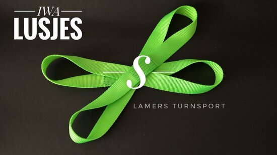 Ons advies is om polsbandjes of handschoentjes te gebruiken bij het dragen van de lusjes www.lamers-turnsport.com