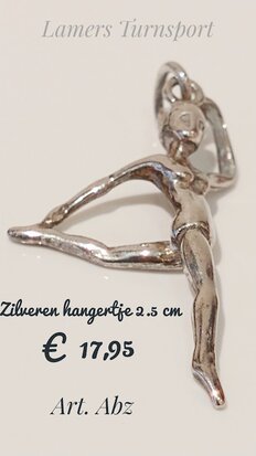 Zilveren Hangertje 2.5 cm