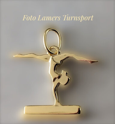Hanger Spagaat handstand - op balk Gold Plated www.lamers-turnsport.com