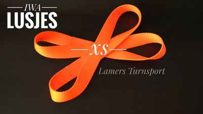 Ons advies is om polsbandjes of handschoentjes te gebruiken bij het dragen van de lusjes www.lamers-turnsport.com